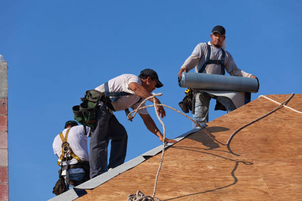 Best Storm Damage Roof Repair  in Lexington, OH